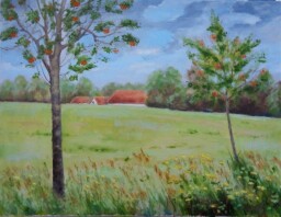 Jeřabiny  50x65